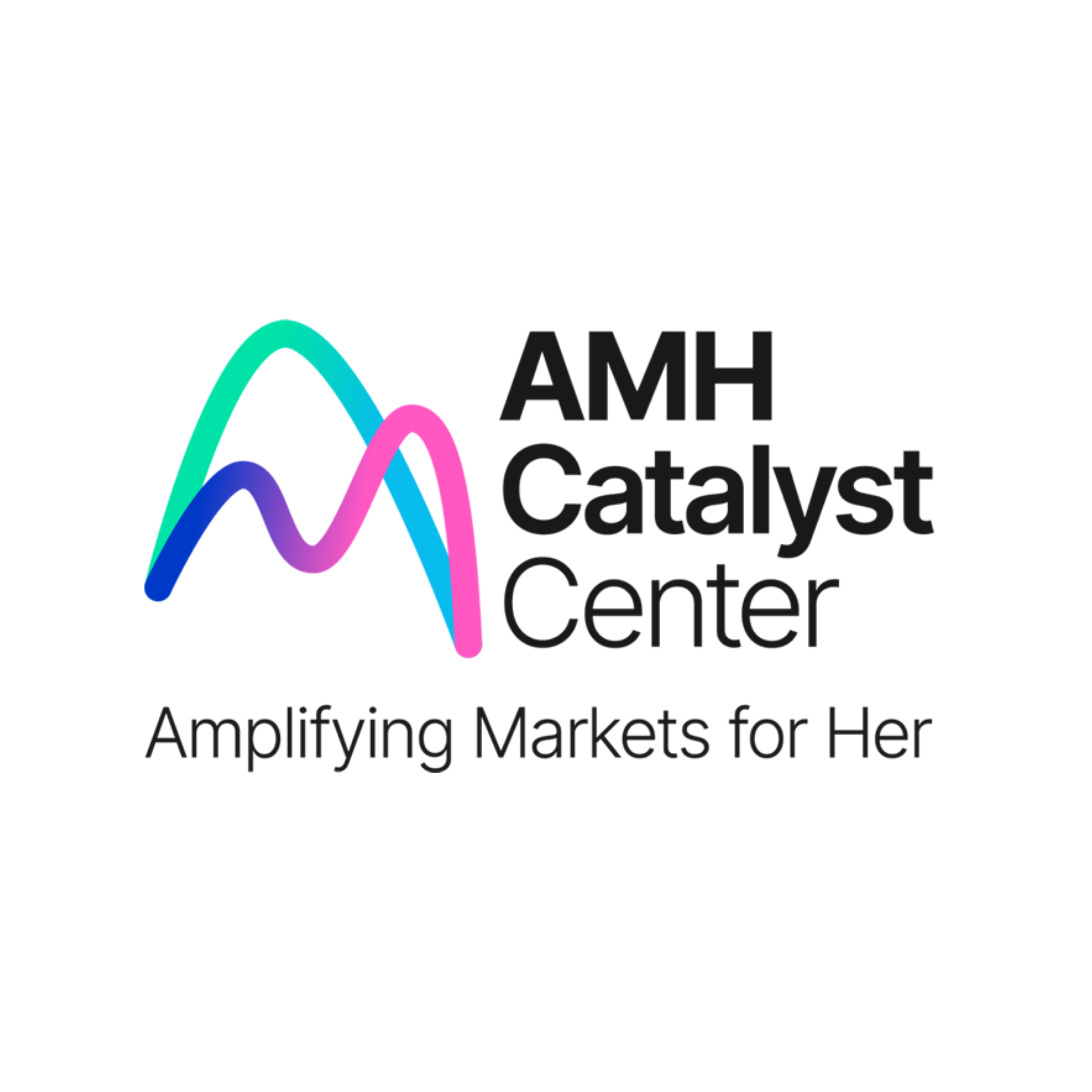 AMH Catalyst Center