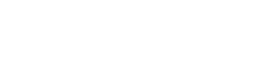 The New C-suite logo