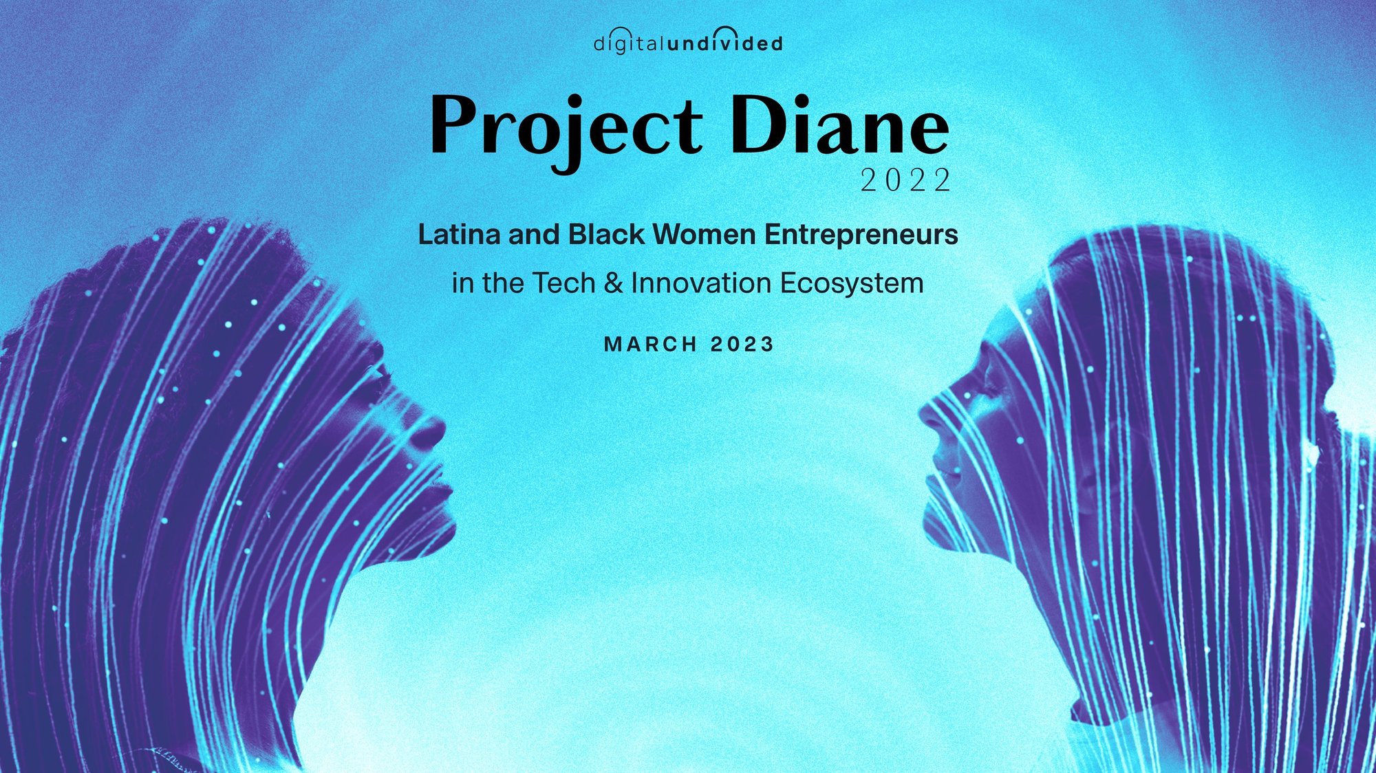 Project Diane 2022 — digitalundivided