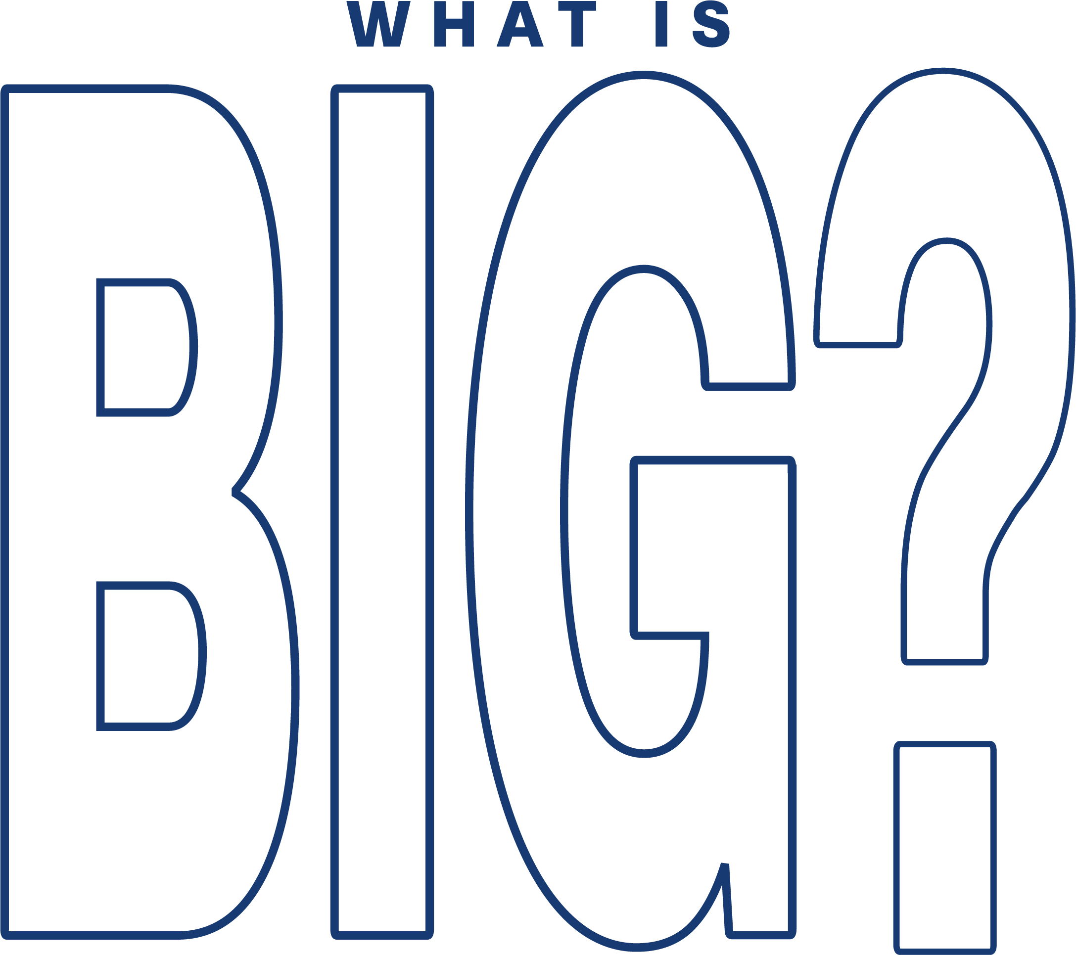 What is Big
